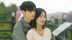 My ID is Gangnam beauty (terrible k dramas)